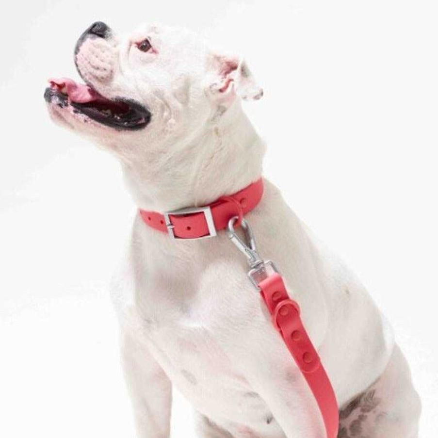 Dogs Furry Co Collars & Leashes | Furry&Co - Waterproof Bold Collar For Dogs