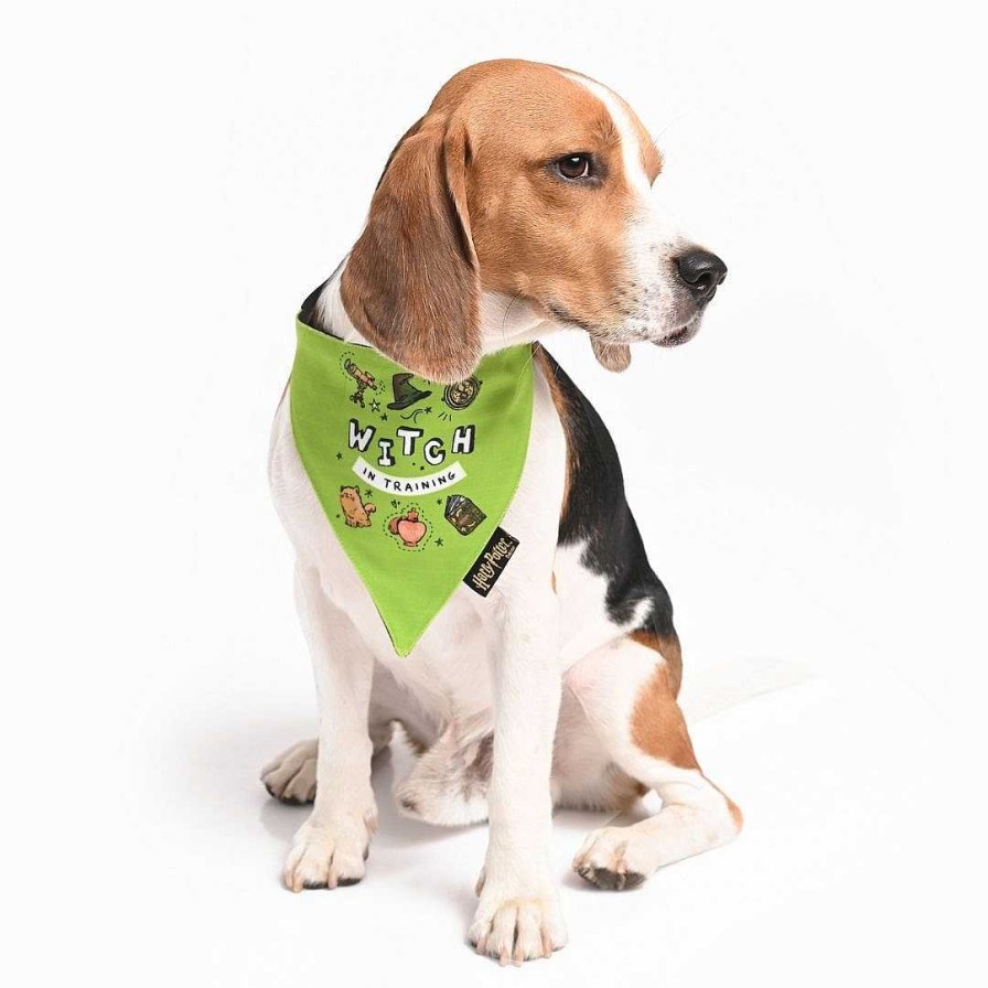 Dogs Mutt Of Course Bows & Bandanas | Harry Potter Dog Bandana - Woofy Witch