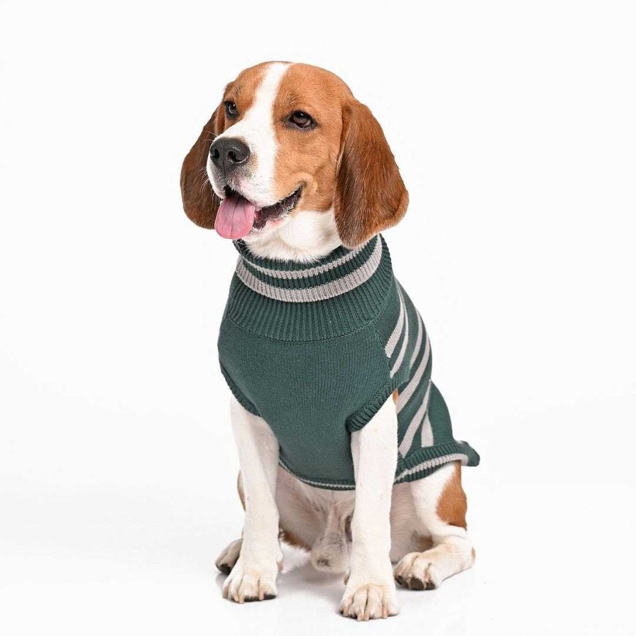 Dogs Mutt Of Course Sweaters, Raincoats & Shoes | Harry Potter Sweaters - Slytherin