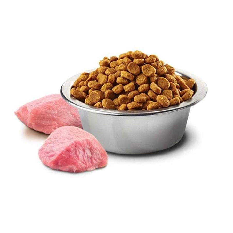 Cats Farmina Dry Food | Farmina Dry Food - N&D Prime Cat Chicken & Pomegranate Adult