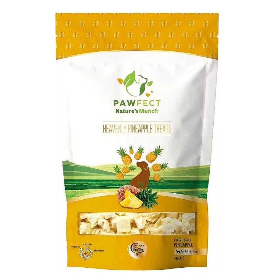 Dogs Pawfect Freeze-Dried Treats | Pawfect Dog Treats - Natural Freeze Dried Tangy Pineapple (40G)