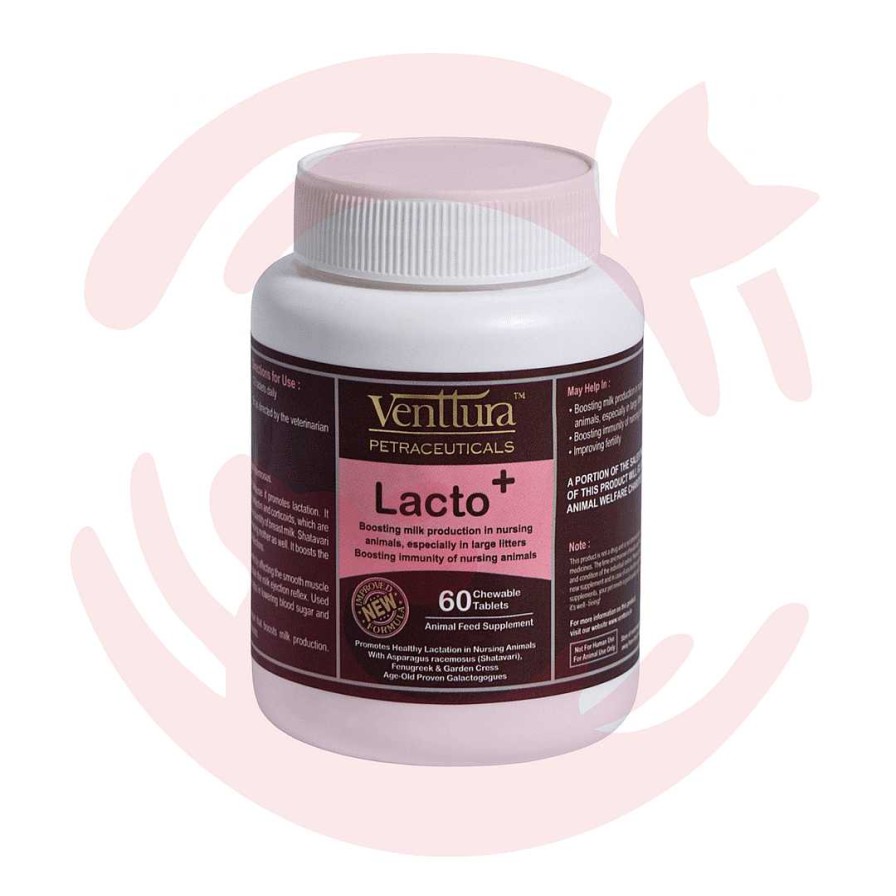 Cats Venttura Vitamins & Supplements | Venttura Supplements For Cats & Dogs - Lactoplus (60 Tabs)