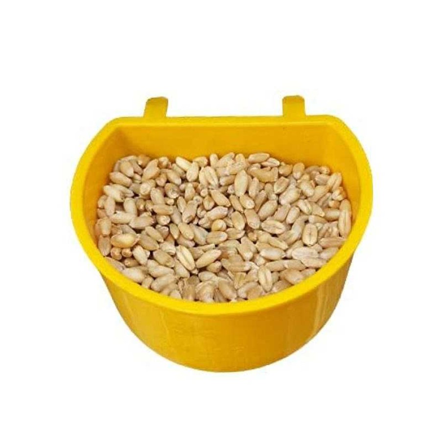 Small Animals Taiyo Pluss Discovery Feeding Accessories | Taiyo Discovery Pluss Bird Feeder - 7 Cup Medium