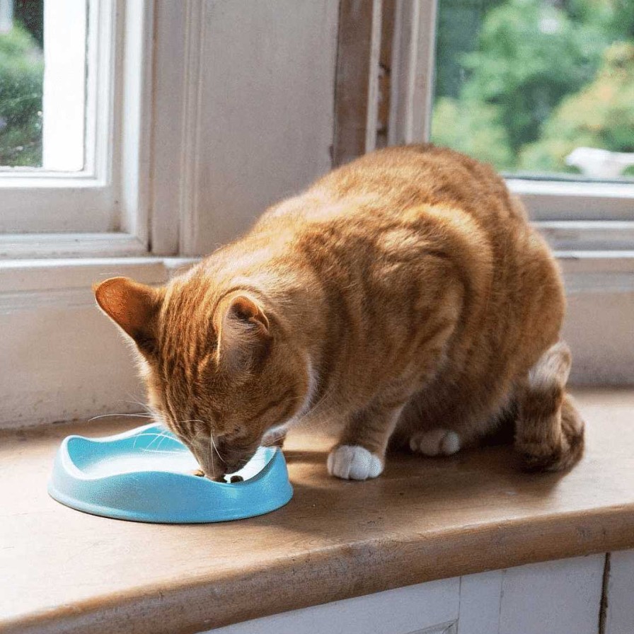 Cats Becopets Dinning Accessories | Becopets Bamboo Cat Bowl - Blue