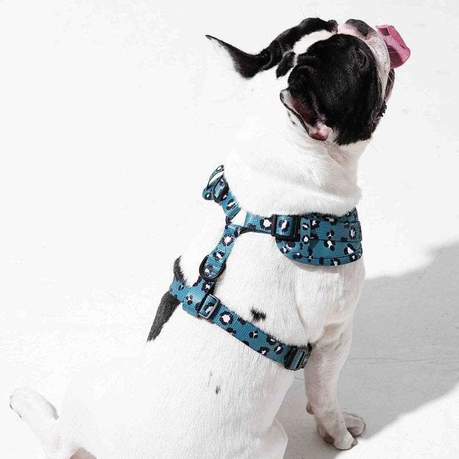 Dogs Furry Co Harnesses | Furry&Co No Pull Harness For Dogs - Wild One