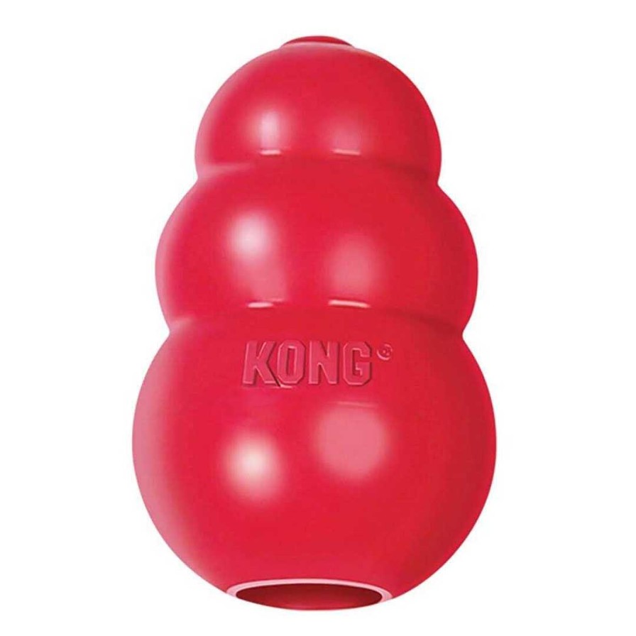 Small Animals KONG Toys & Wheels | Kong (Xs) For Small Animals