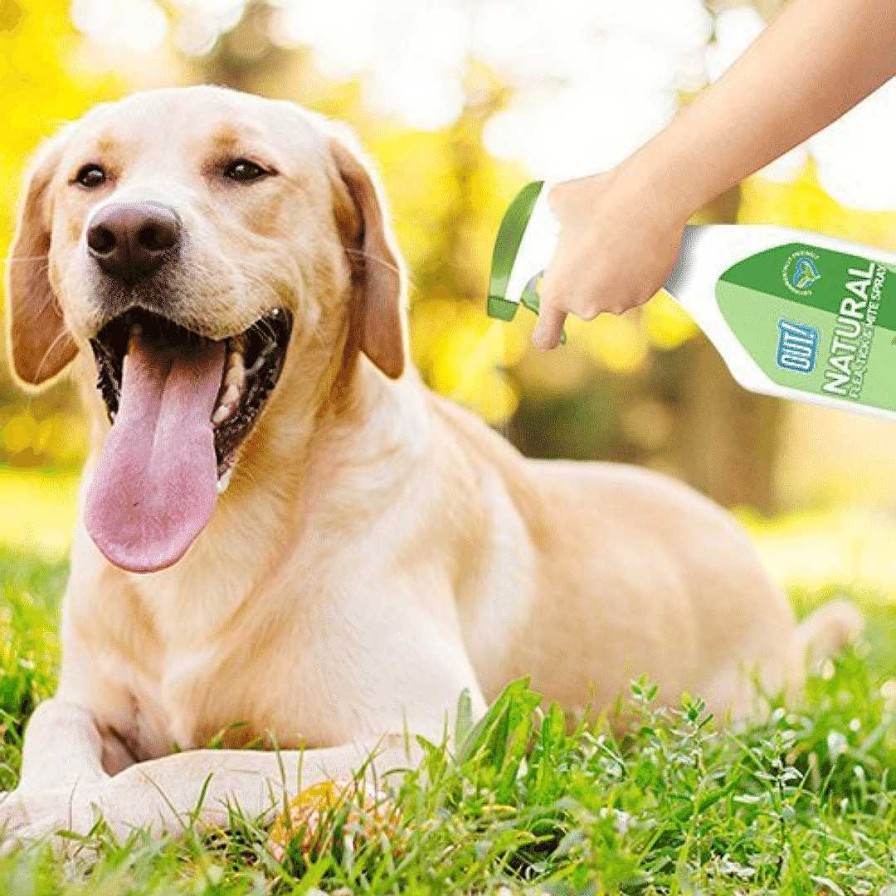 Dogs Out! Flea & Tick | Out! Natural Flea & Tick Spray - 500 Ml