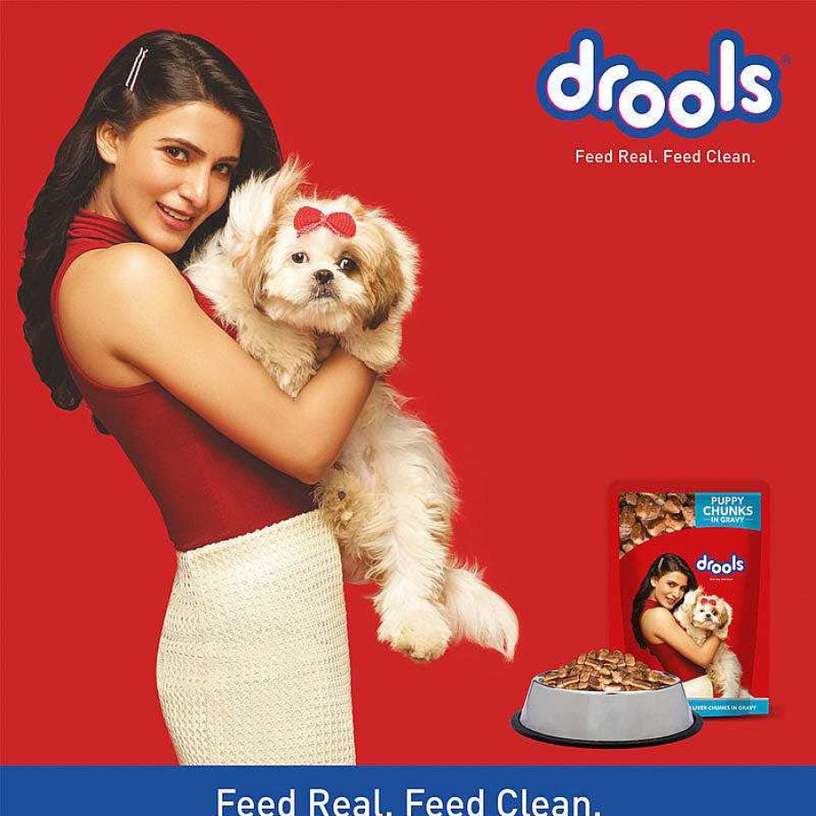 Dogs Drools Wet Food | Drools Wet Food For Puppies - Real Chicken And Chicken Liver Chunks In Gravy