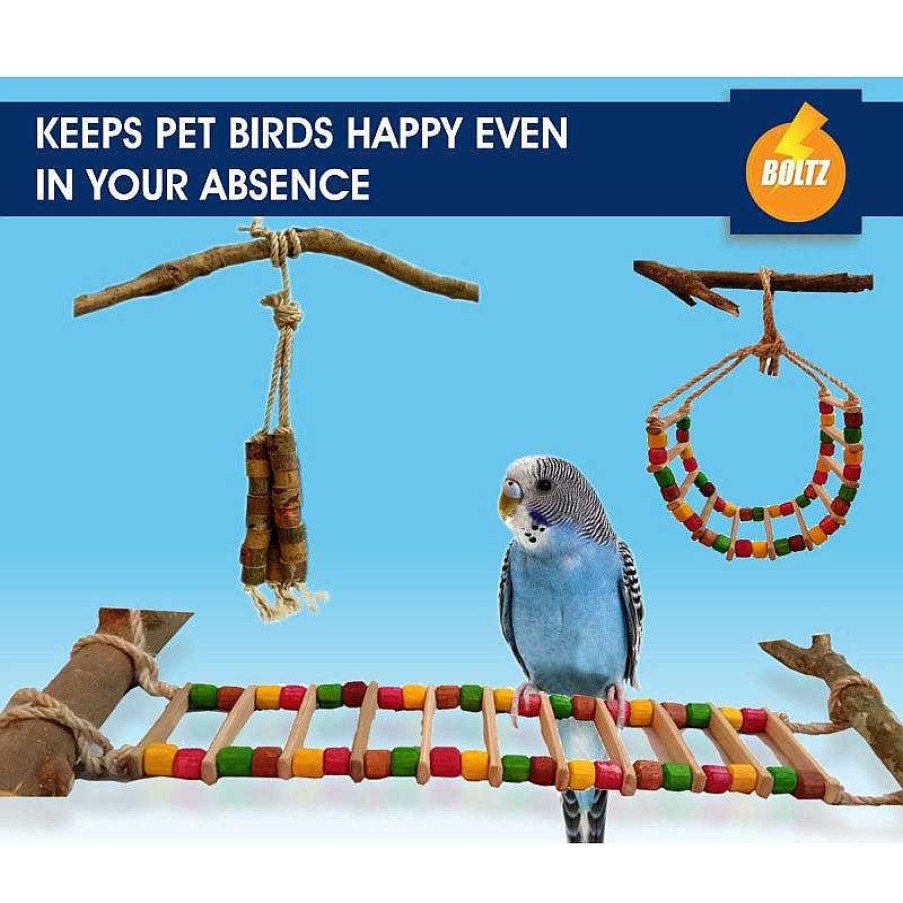 Birds Boltz | Boltz Ladder And Hanging Chewable Wooden Toys For Birds (Pack Of 2Pcs)