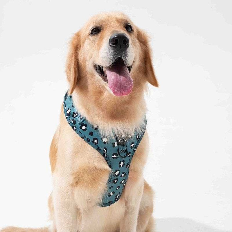 Dogs Furry Co Harnesses | Furry&Co No Pull Harness For Dogs - Wild One