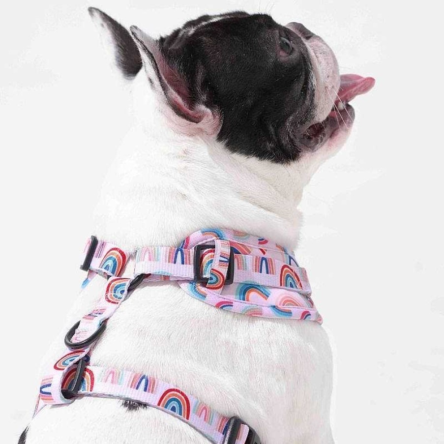 Dogs Furry Co Harnesses | Furry&Co No Pull Harness For Dogs - Raining Rainbows