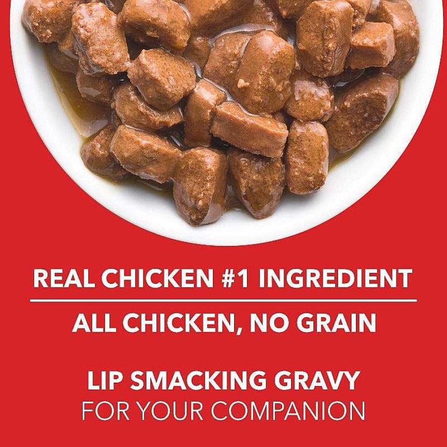 Dogs Drools Wet Food | Drools Wet Dog Food - Real Chicken And Chicken Liver Chunks In Gravy