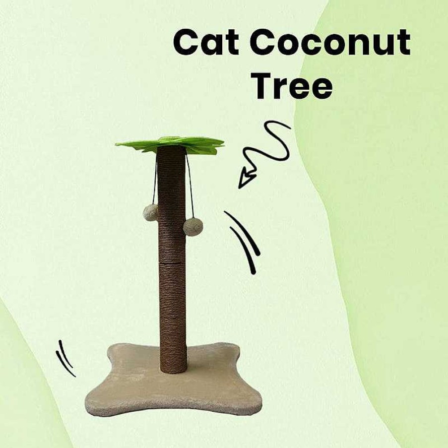 Cats Basil Furniture & Scratchers | Basil Cat Toys - Coconut Tree Scratcher With Dangler