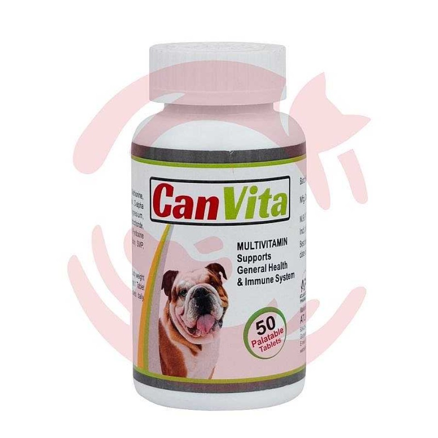 Dogs Atlantiz Vitamins & Supplements | Atlantiz Canvita Multivitamin Supplement For Dogs And Cats