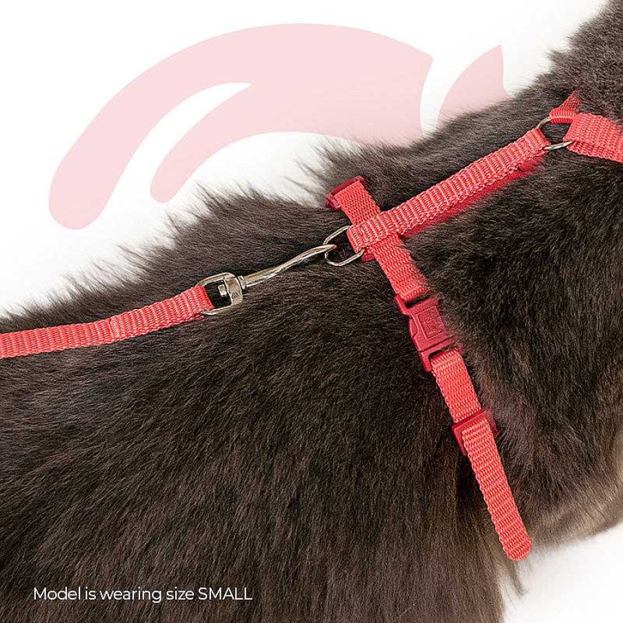 Cats Trixie Cat Harness & Leash | Trixie Kitten Harness With Leash