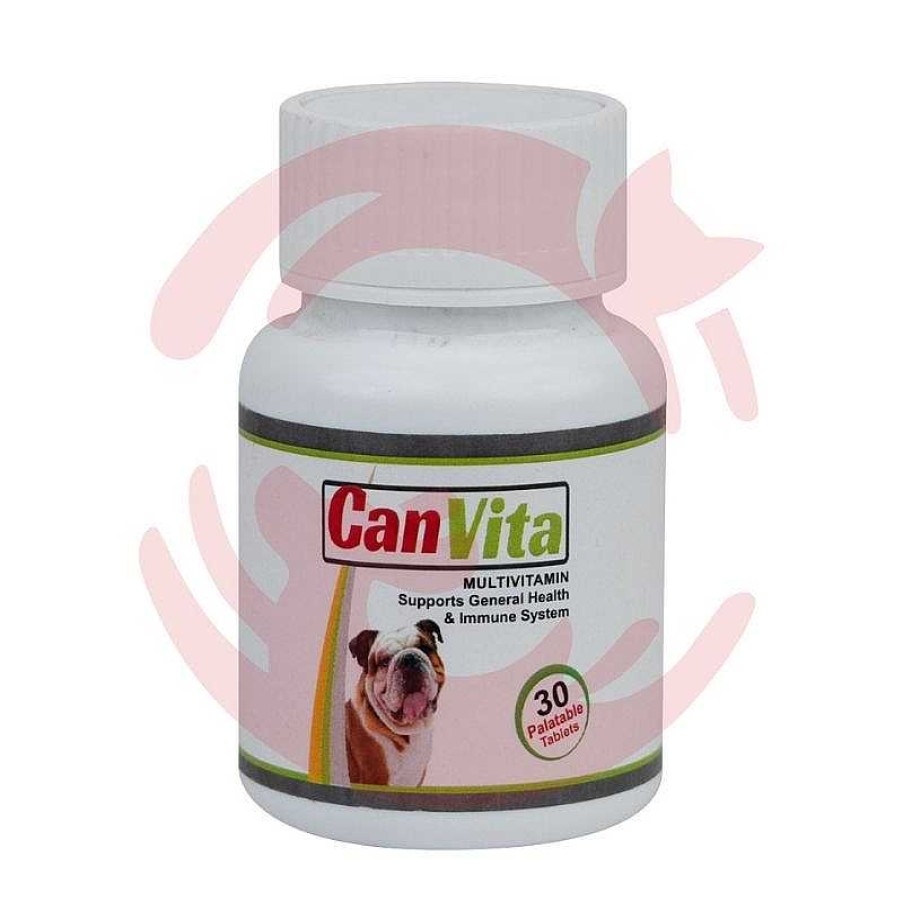 Dogs Atlantiz Vitamins & Supplements | Atlantiz Canvita Multivitamin Supplement For Dogs And Cats