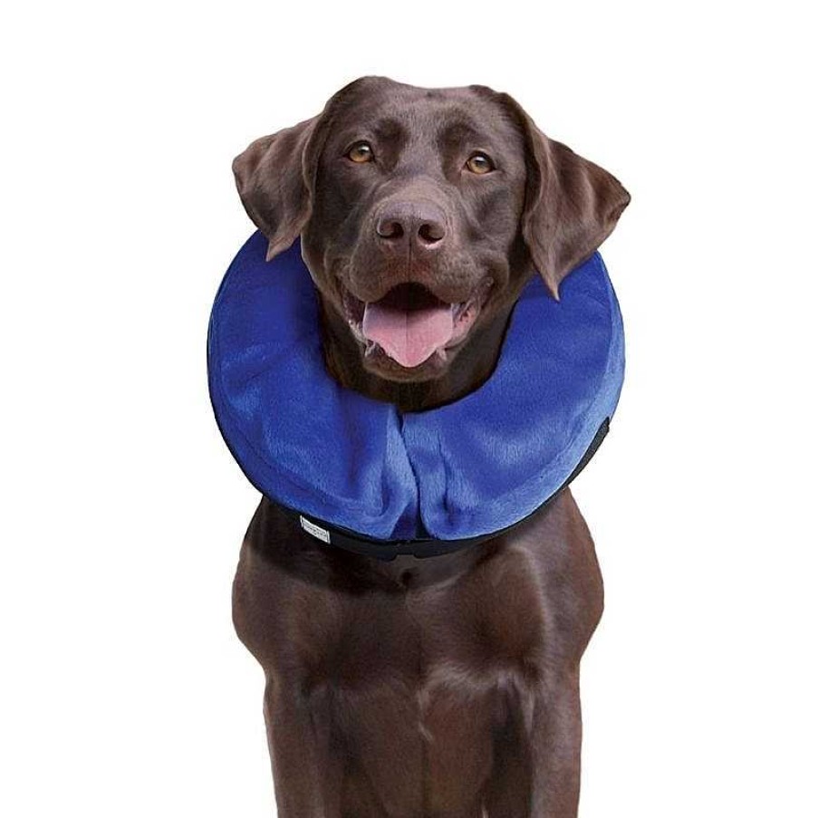 Dogs Kong Health Care Aids | Kong Cloud Collar For Dogs