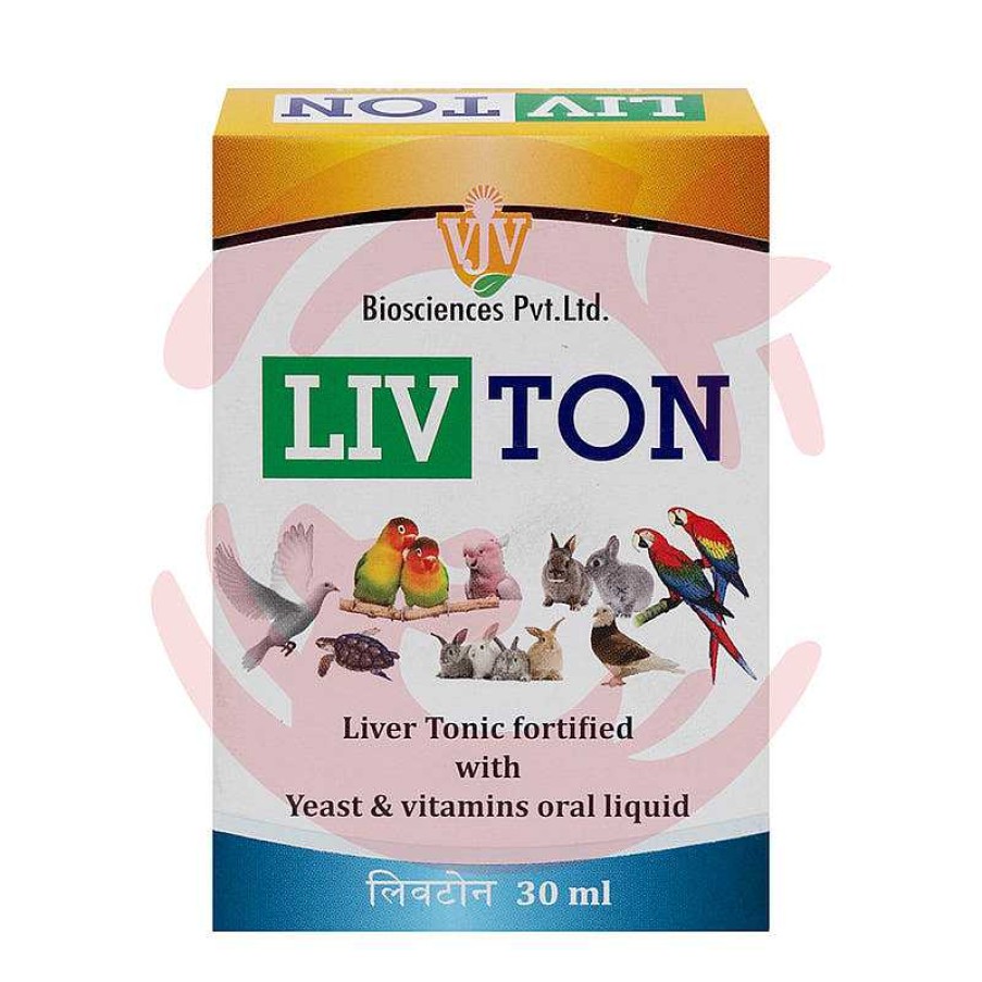 Small Animals VJV Biosciences Vitamins And Supplements | Livton Liver Tonic For Birds And Small Animals (30Ml)