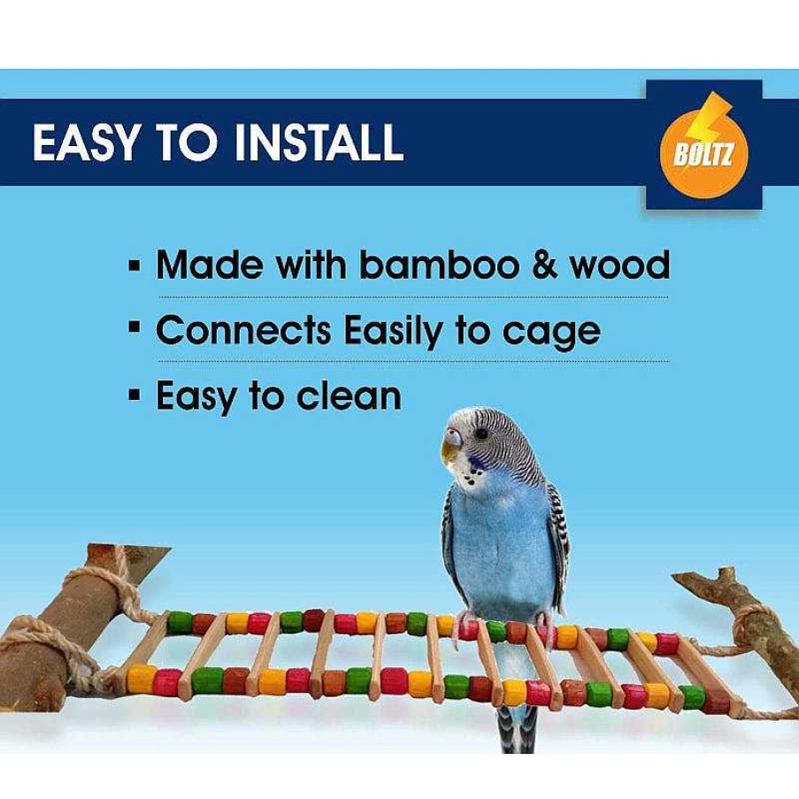 Birds Boltz | Boltz Ladder And Hanging Chewable Wooden Toys For Birds (Pack Of 2Pcs)